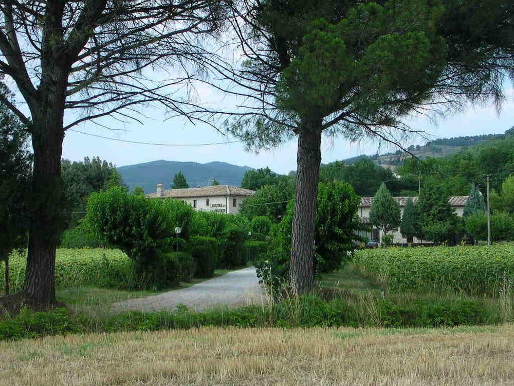 Hotel La Quiete Assisi Exteriör bild