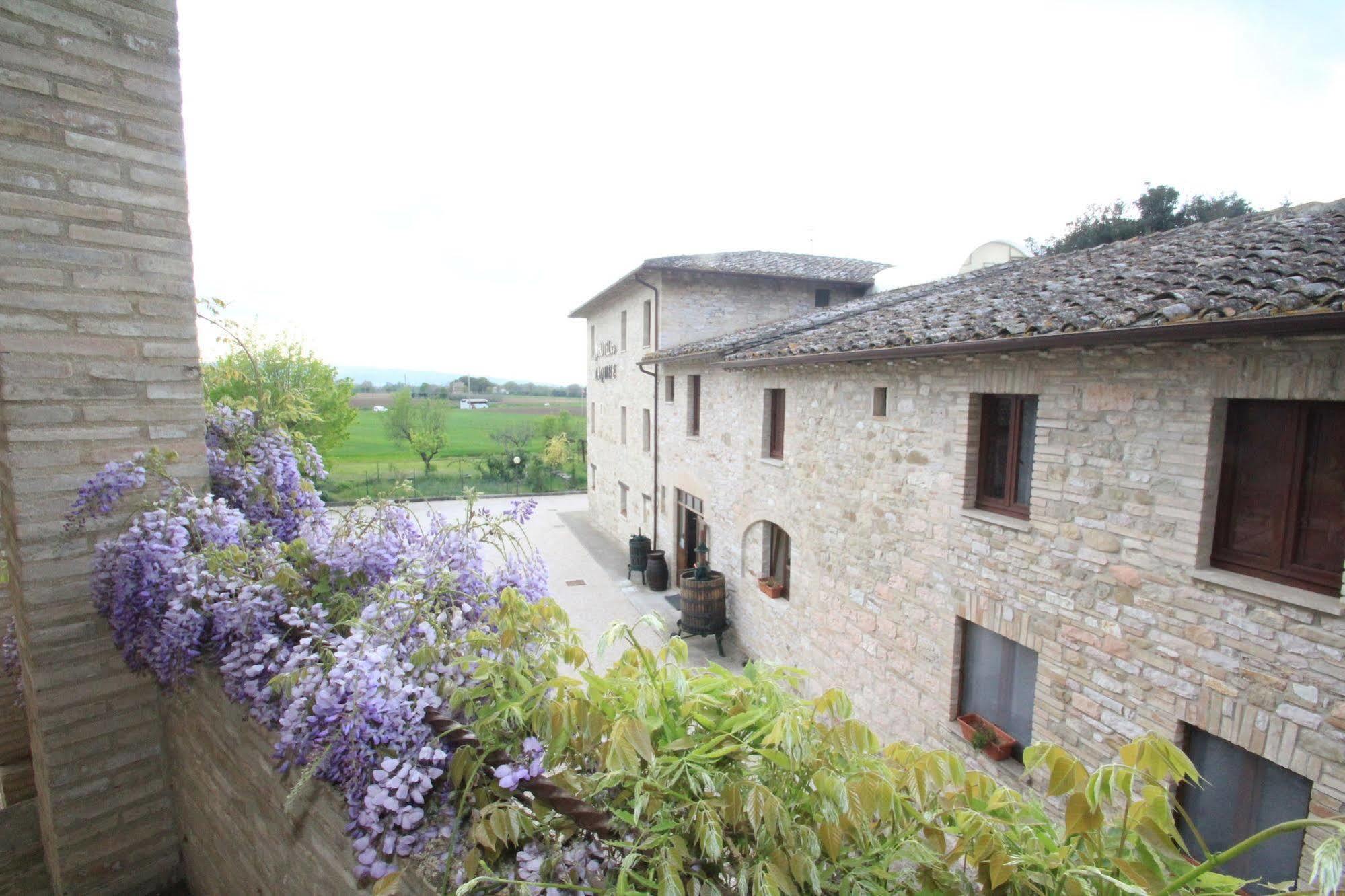 Hotel La Quiete Assisi Exteriör bild
