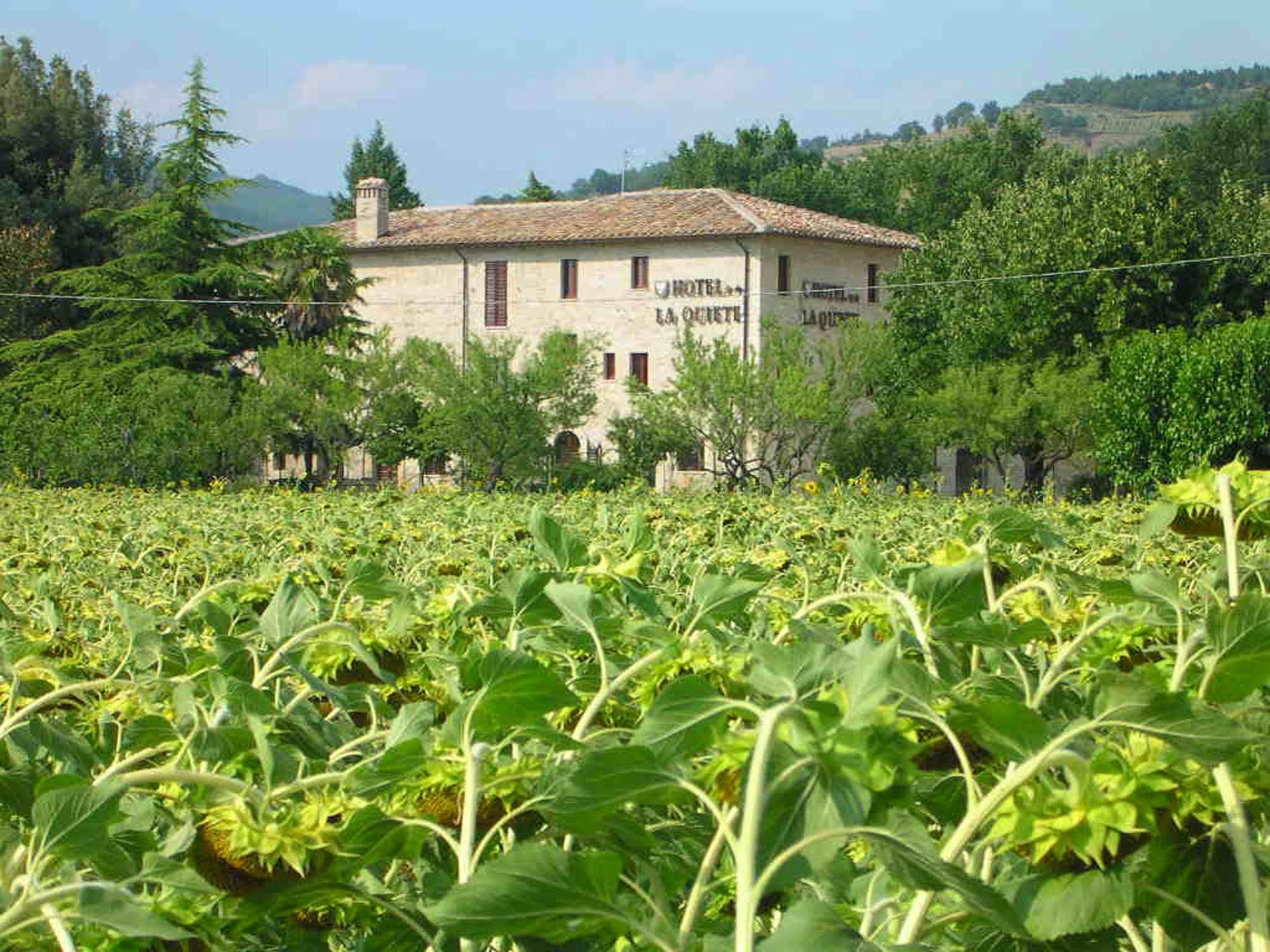 Hotel La Quiete Assisi Exteriör bild