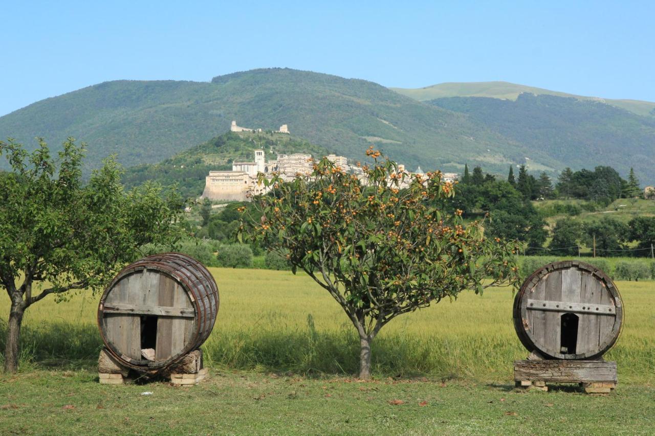 Hotel La Quiete Assisi Exteriör bild